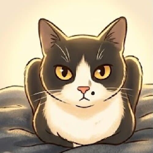 Cat photo 1