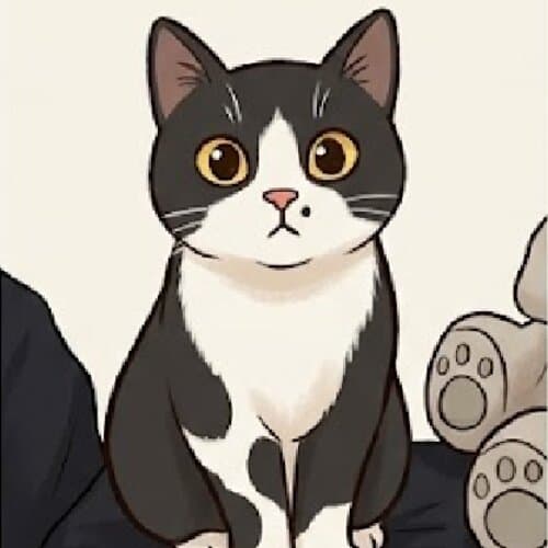 Cat photo 2