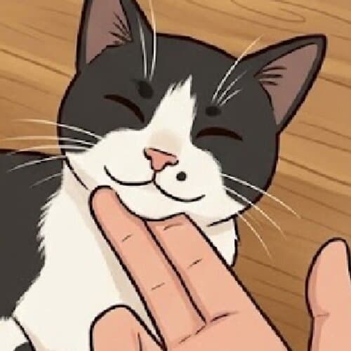 Cat photo 3
