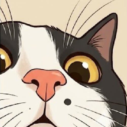 Cat photo 4