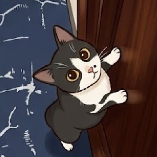 Cat photo 5