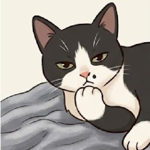 Cat photo 6
