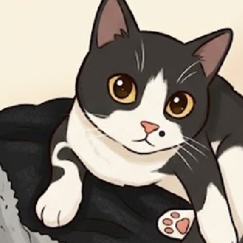 Cat photo 7